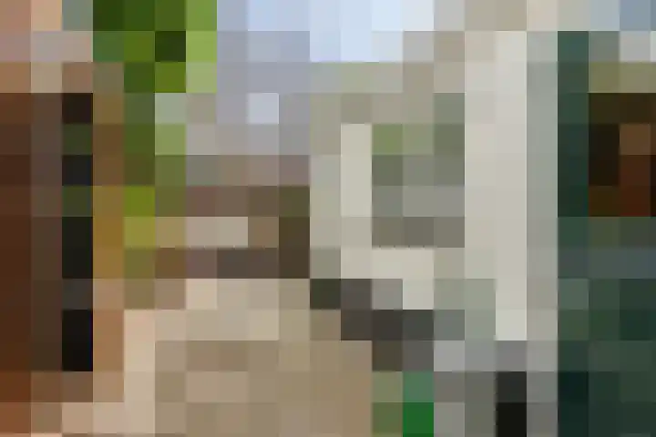 Koestraat 91 Schoonhoven thumbnail 34