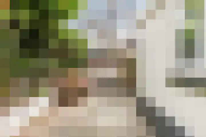 Koestraat 91 Schoonhoven thumbnail 36