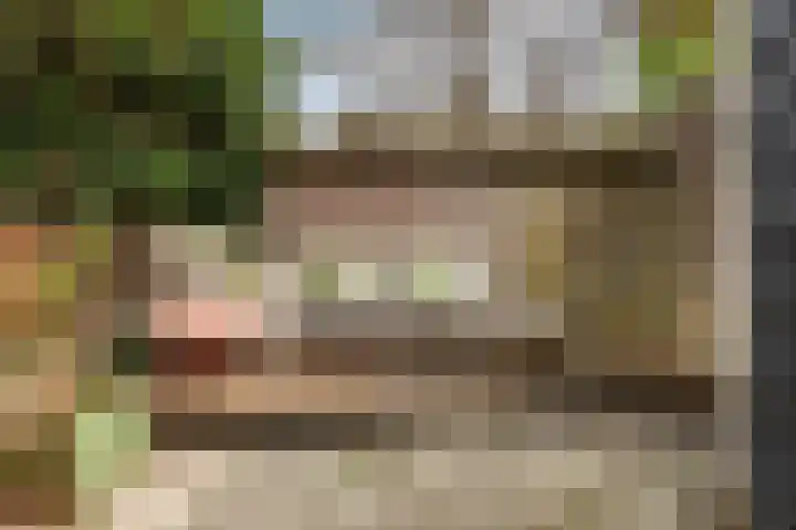 Koestraat 91 Schoonhoven thumbnail 38