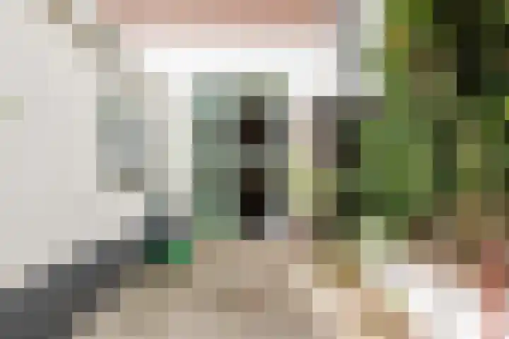 Koestraat 91 Schoonhoven thumbnail 41