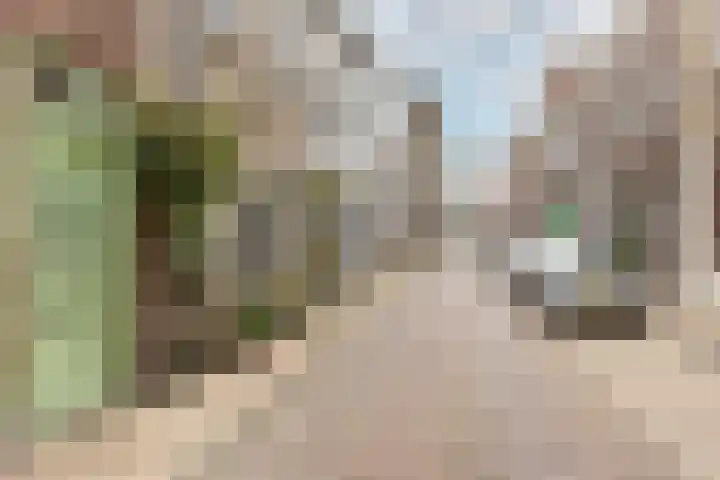 Koestraat 91 Schoonhoven thumbnail 47