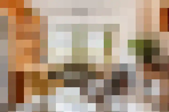 Koestraat 91 Schoonhoven thumbnail 5