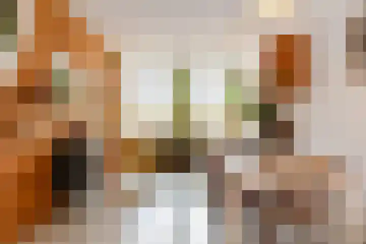 Koestraat 91 Schoonhoven thumbnail 8