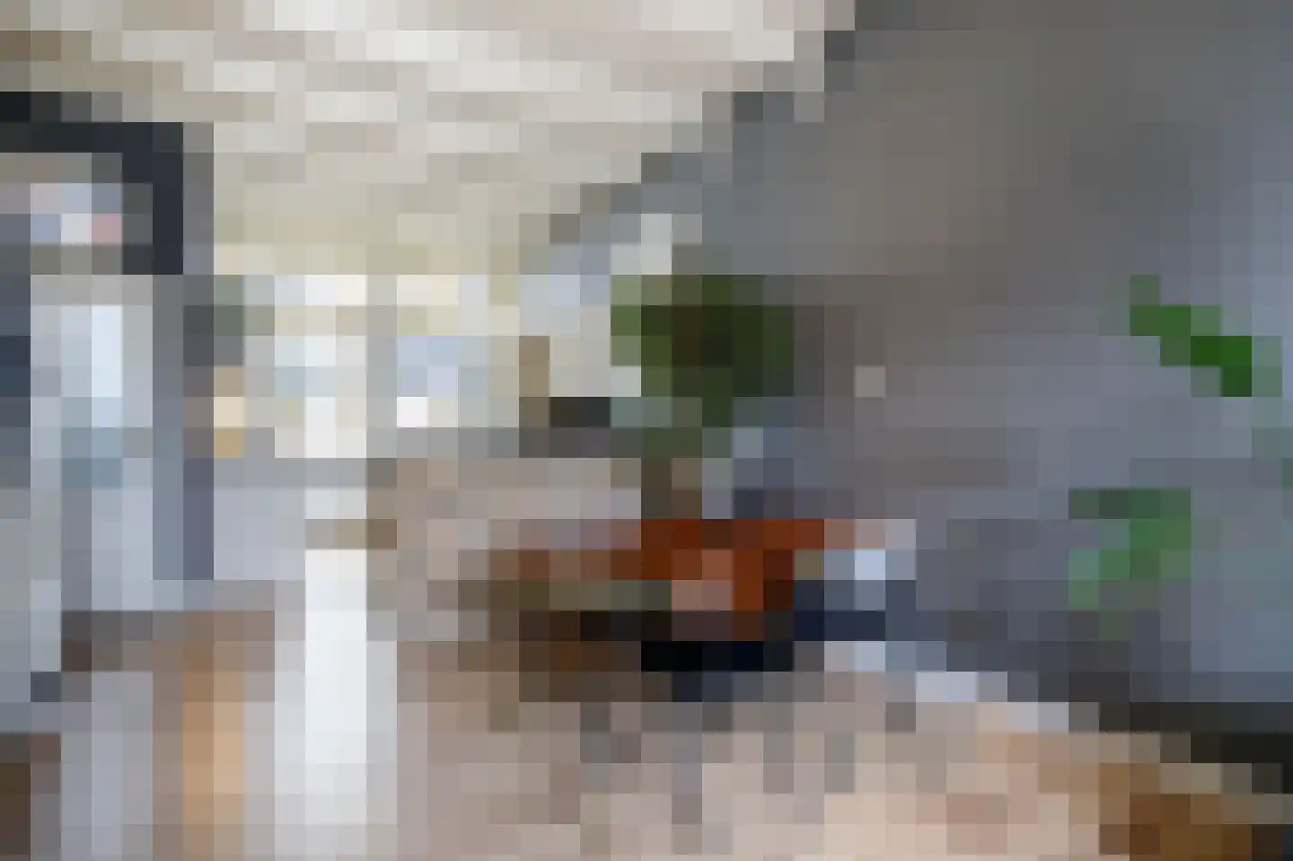 Koestraat 93 Schoonhoven thumbnail 10