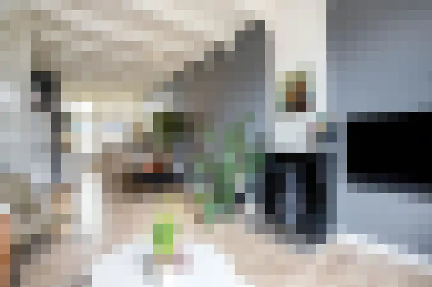 Koestraat 93 Schoonhoven thumbnail 11