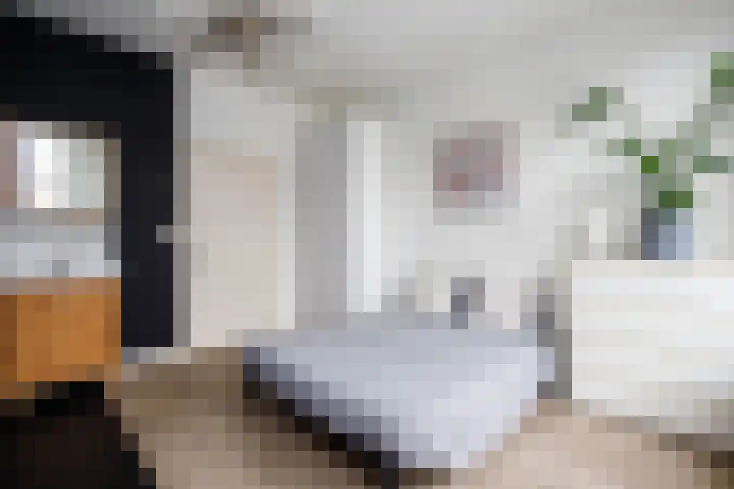 Koestraat 93 Schoonhoven thumbnail 17