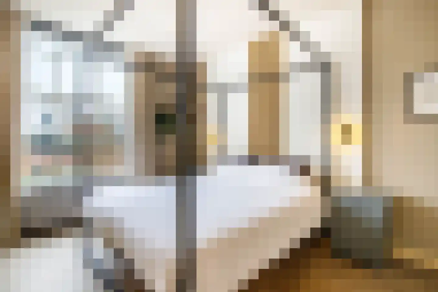 Koestraat 93 Schoonhoven thumbnail 22