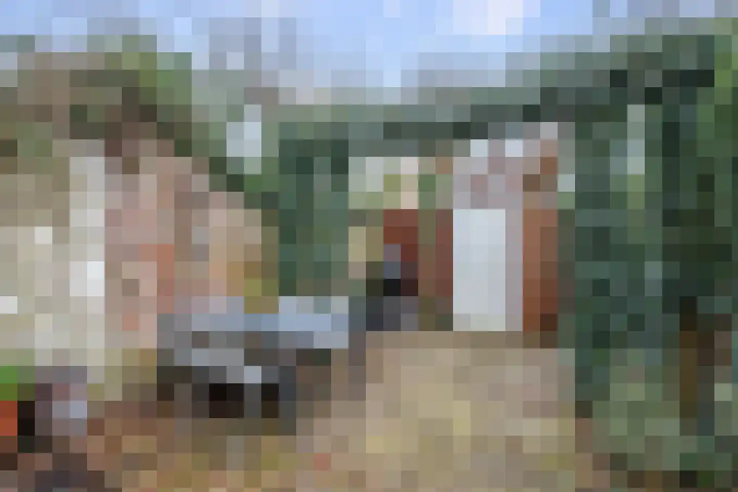Koestraat 93 Schoonhoven thumbnail 32