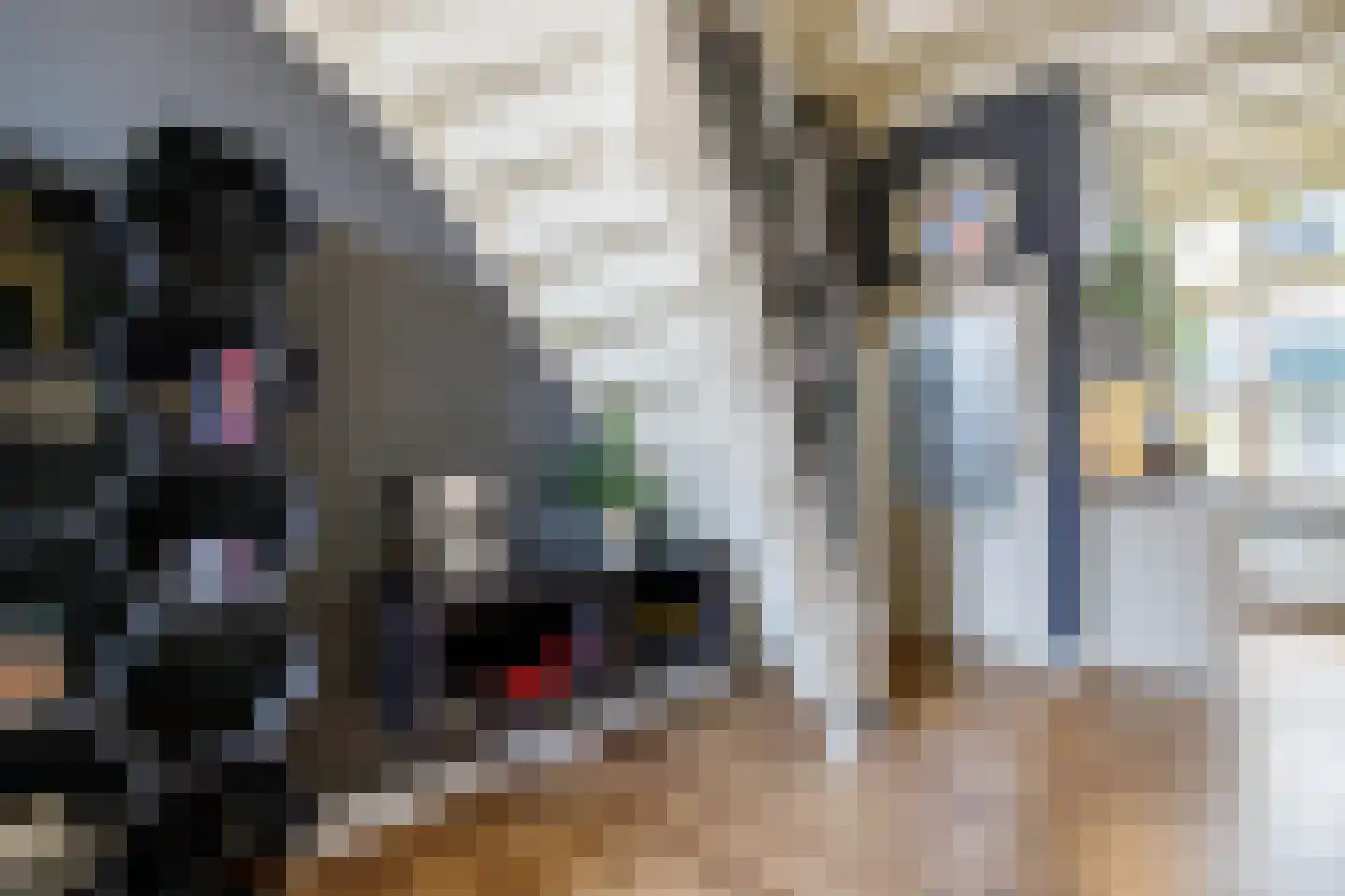 Koestraat 93 Schoonhoven thumbnail 7