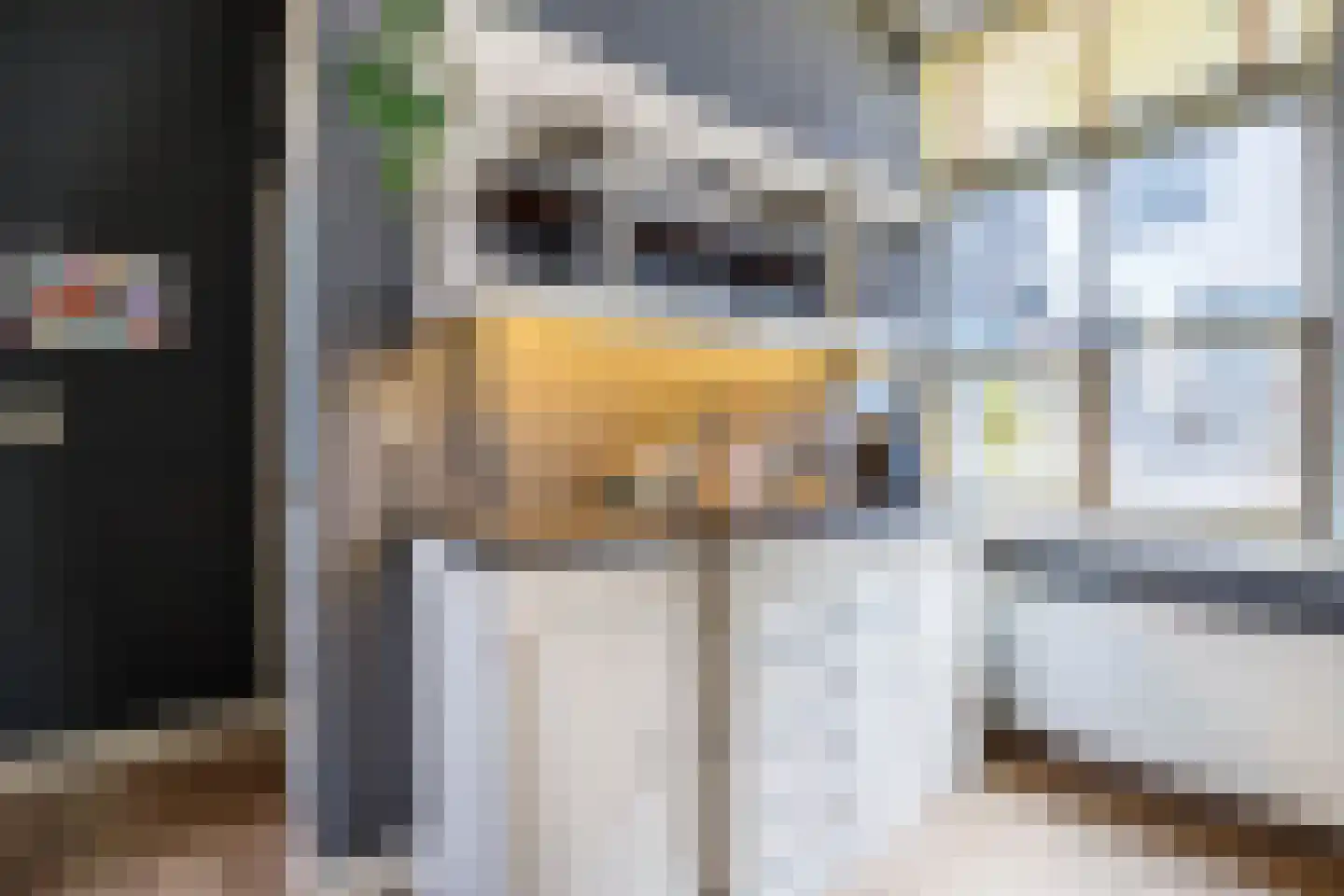 Koestraat 93 Schoonhoven thumbnail 8