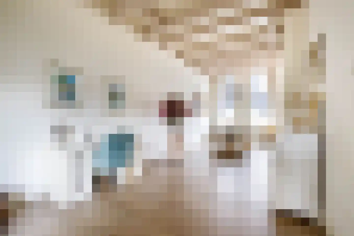 Koestraat 95 Schoonhoven thumbnail 10