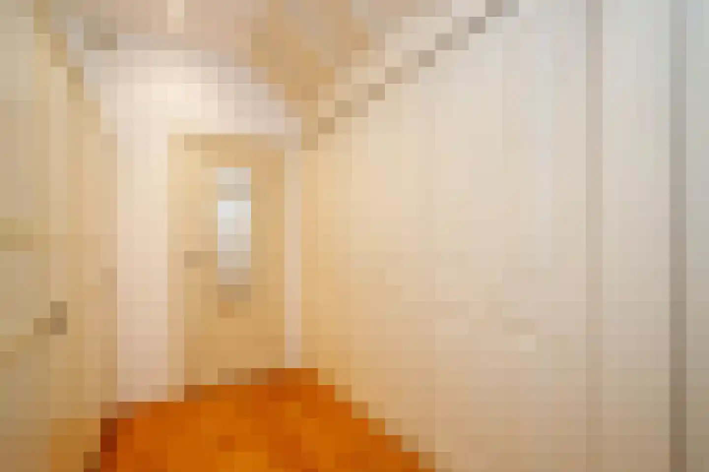 Koestraat 95 Schoonhoven thumbnail 25