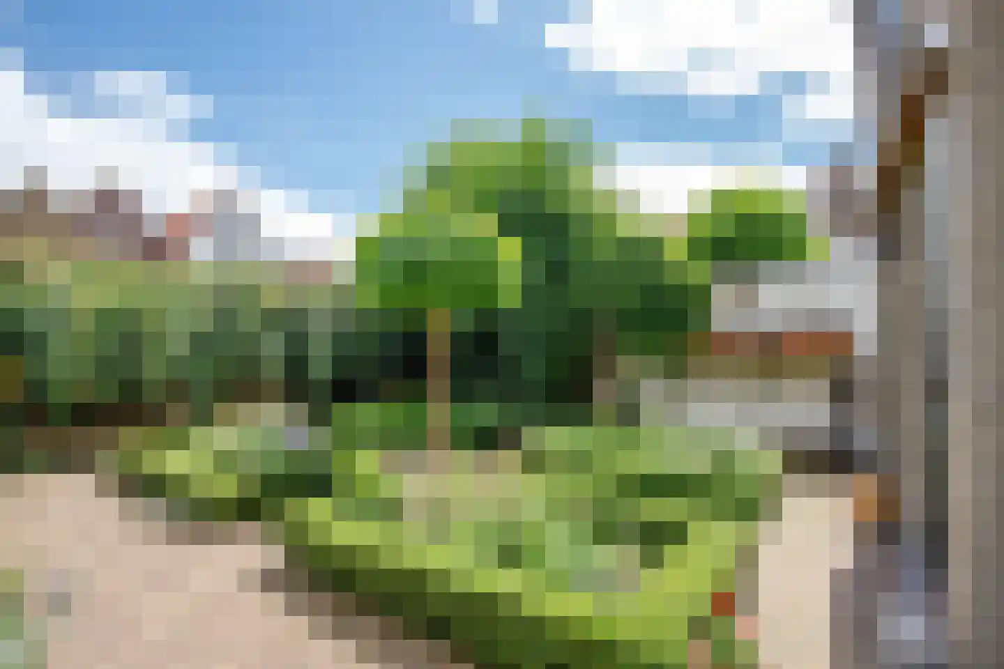 Koestraat 95 Schoonhoven thumbnail 30