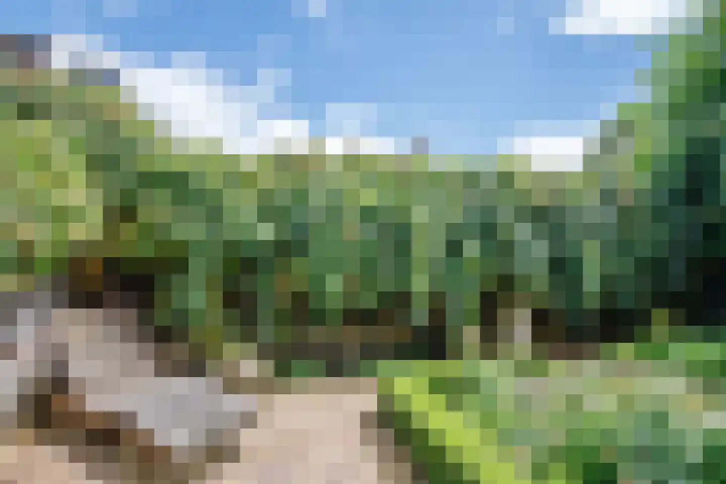 Koestraat 95 Schoonhoven thumbnail 33