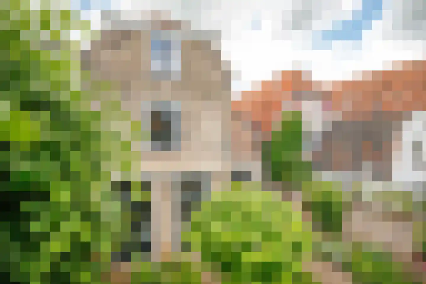 Koestraat 95 Schoonhoven thumbnail 36