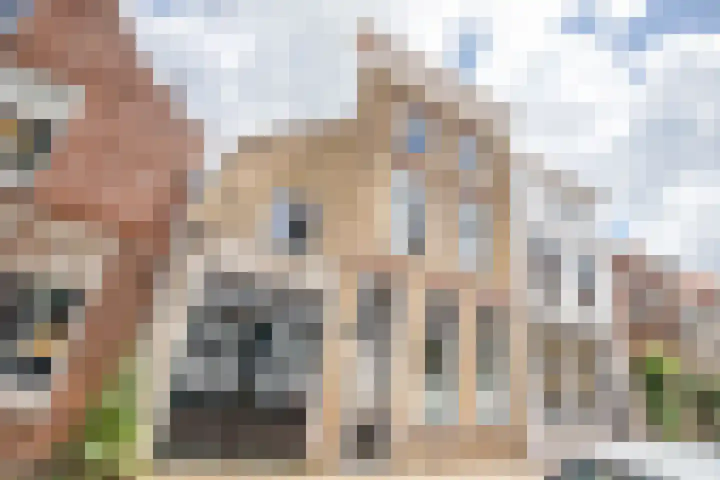 Koestraat 95 Schoonhoven thumbnail 40