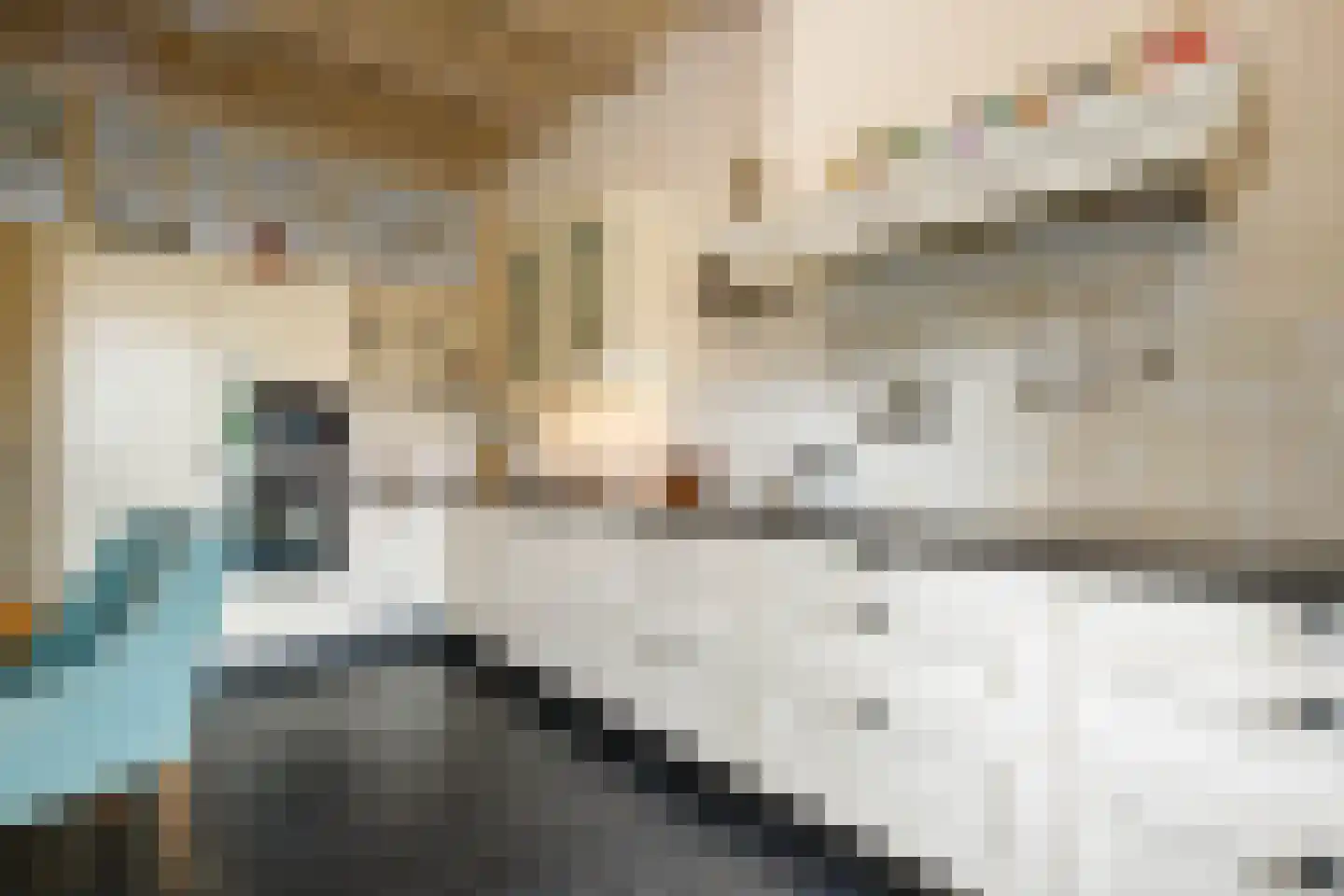 Koestraat 95 Schoonhoven thumbnail 5