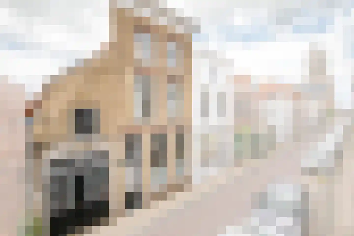 Koestraat 95 Schoonhoven thumbnail 6