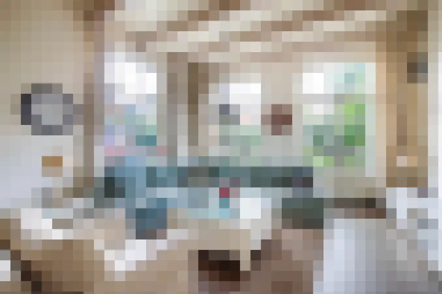 Koestraat 95 Schoonhoven thumbnail 7