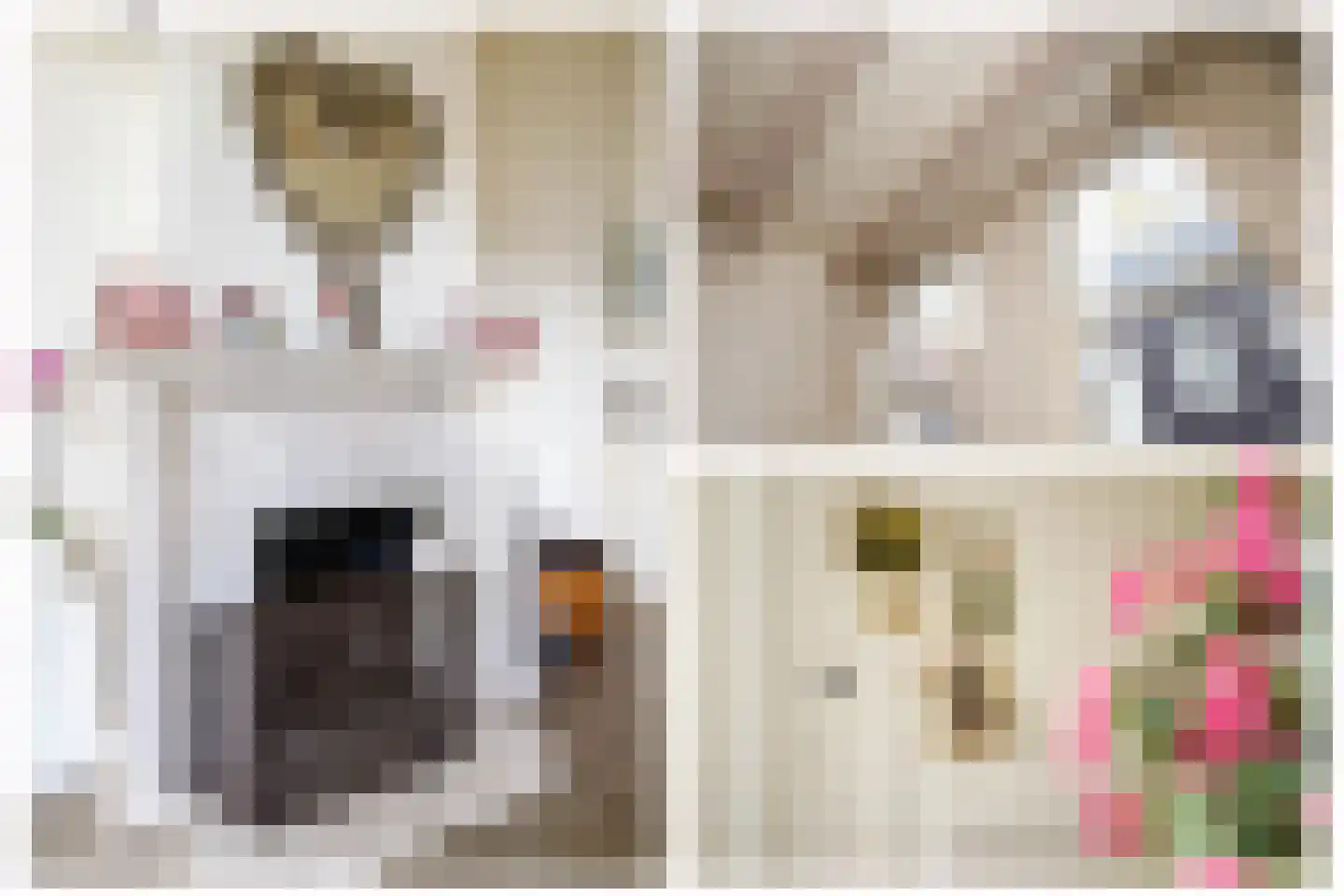 Koestraat 95 Schoonhoven thumbnail 9
