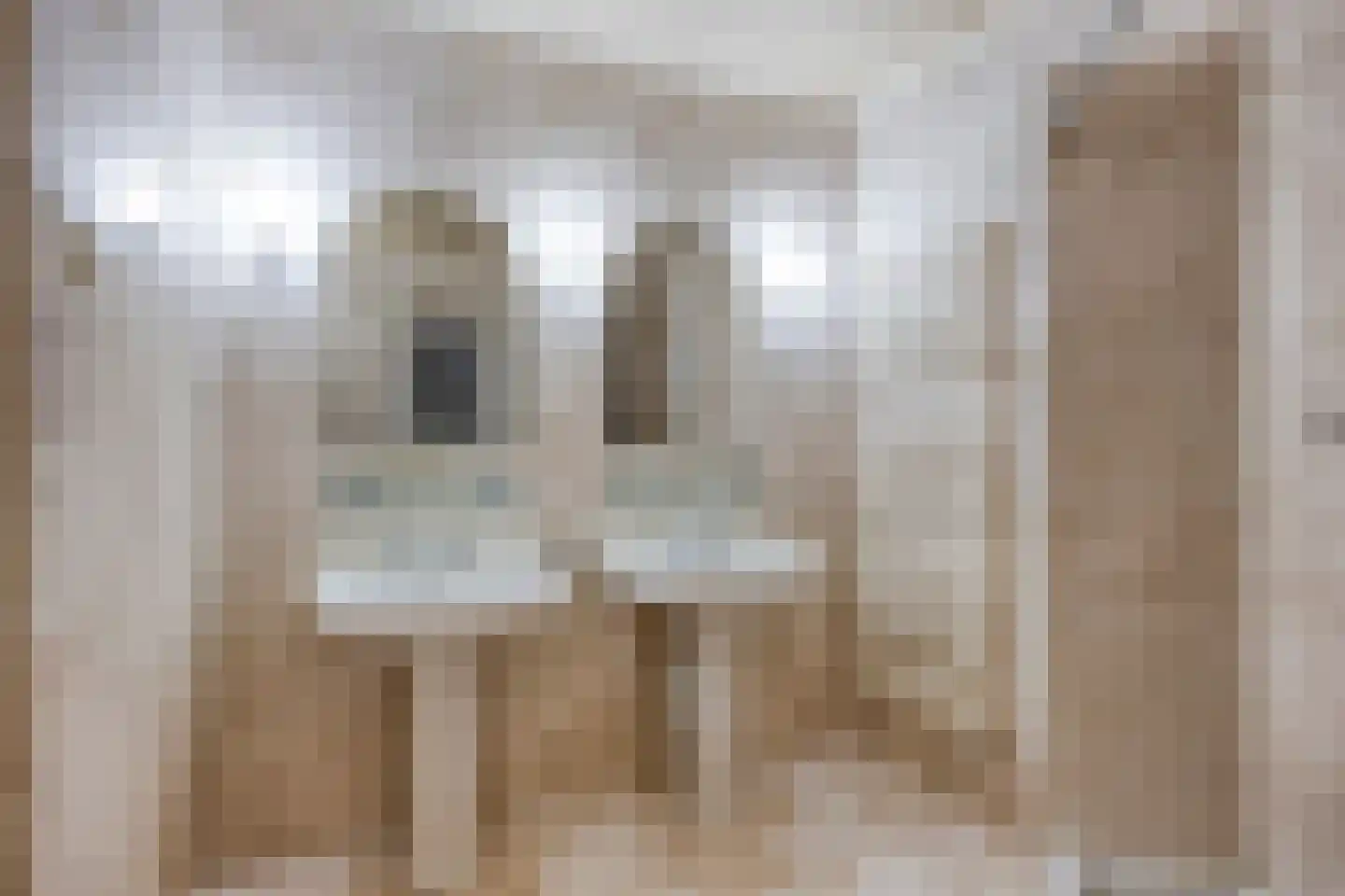 Koestraat 99 Tilburg thumbnail 11
