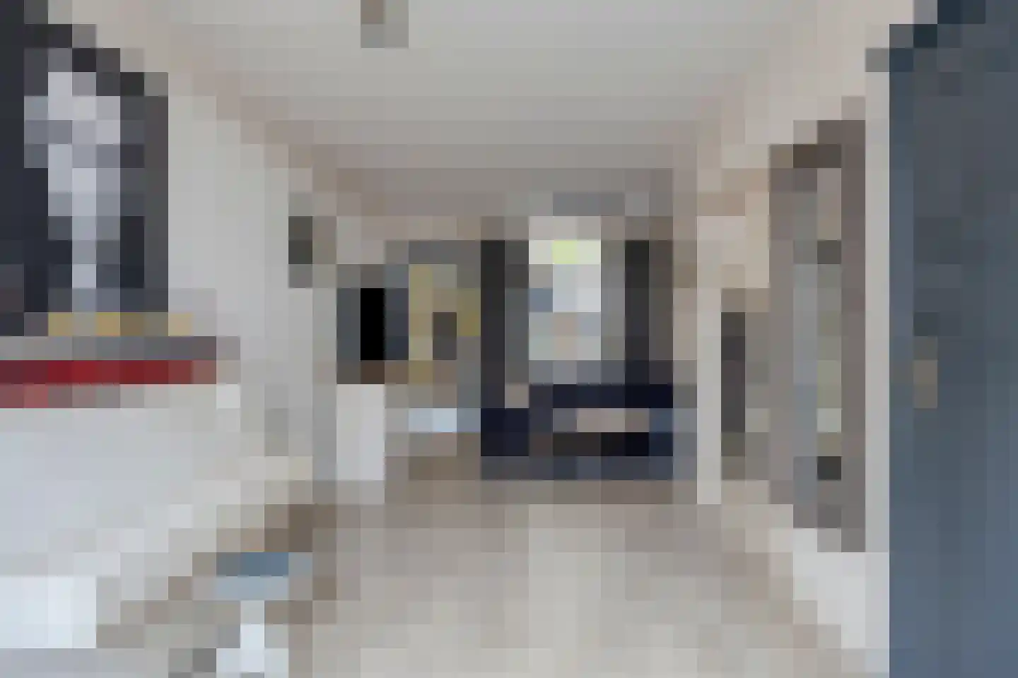 Koestraat 99 Tilburg thumbnail 5