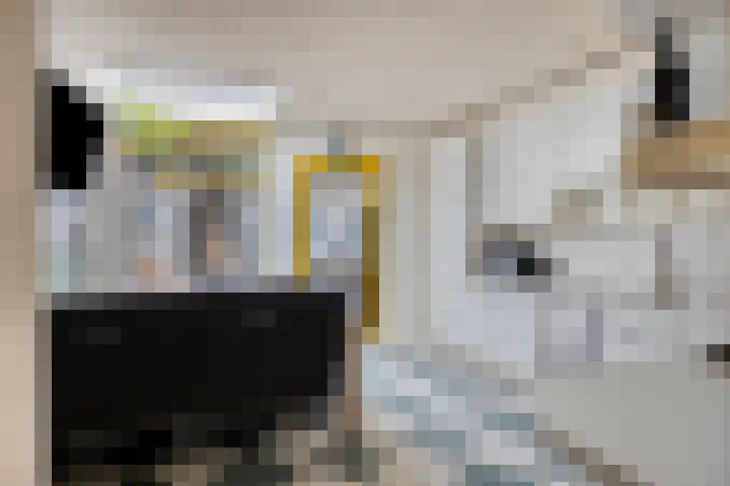 Koestraat 99 Tilburg thumbnail 8