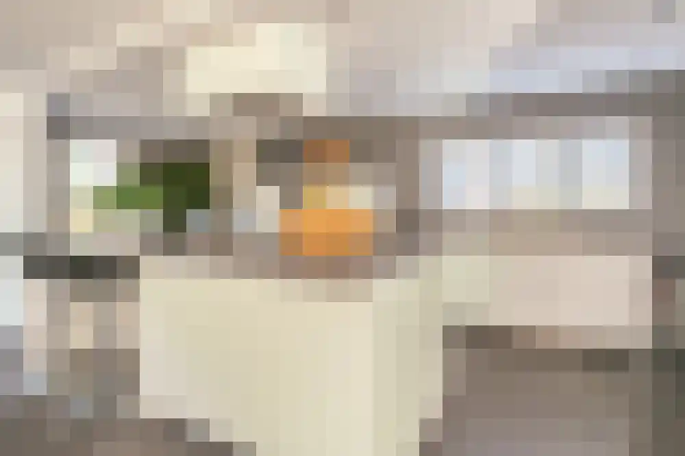 Koeteburg 6 Rijsenhout thumbnail 13