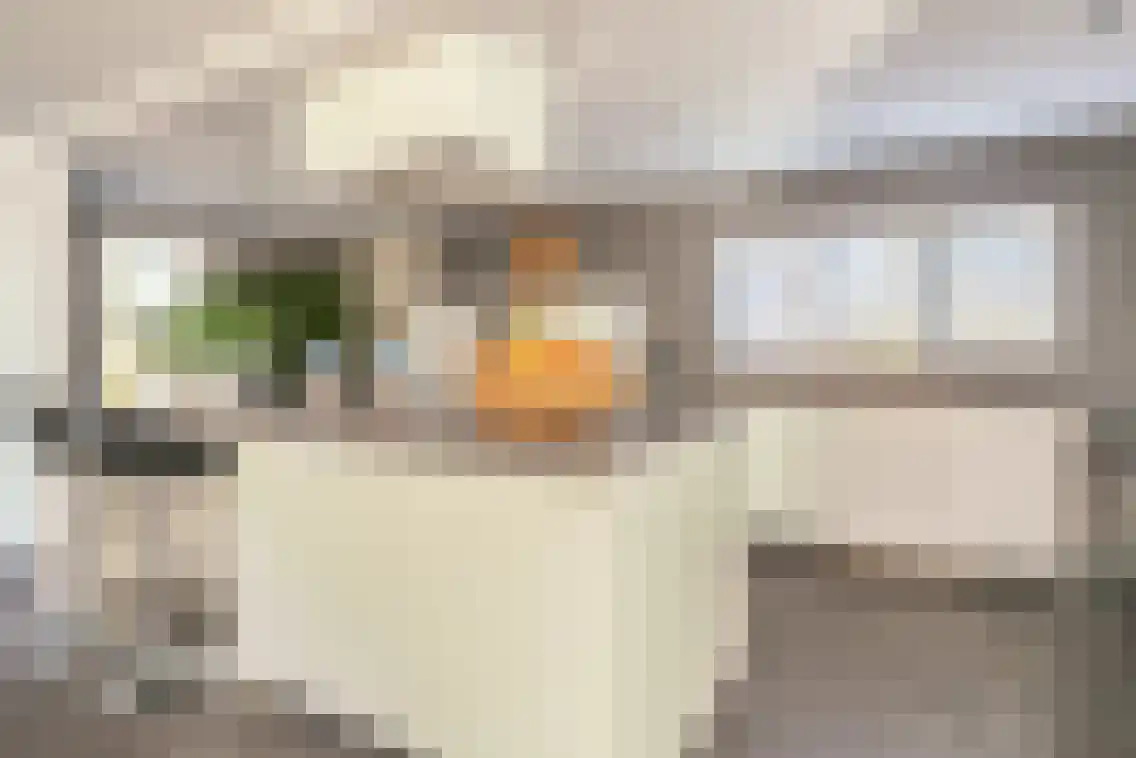 Koeteburg 6 Rijsenhout thumbnail 6