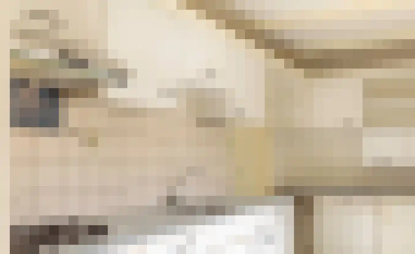 Koetebuurt 20 Oosterend thumbnail 17