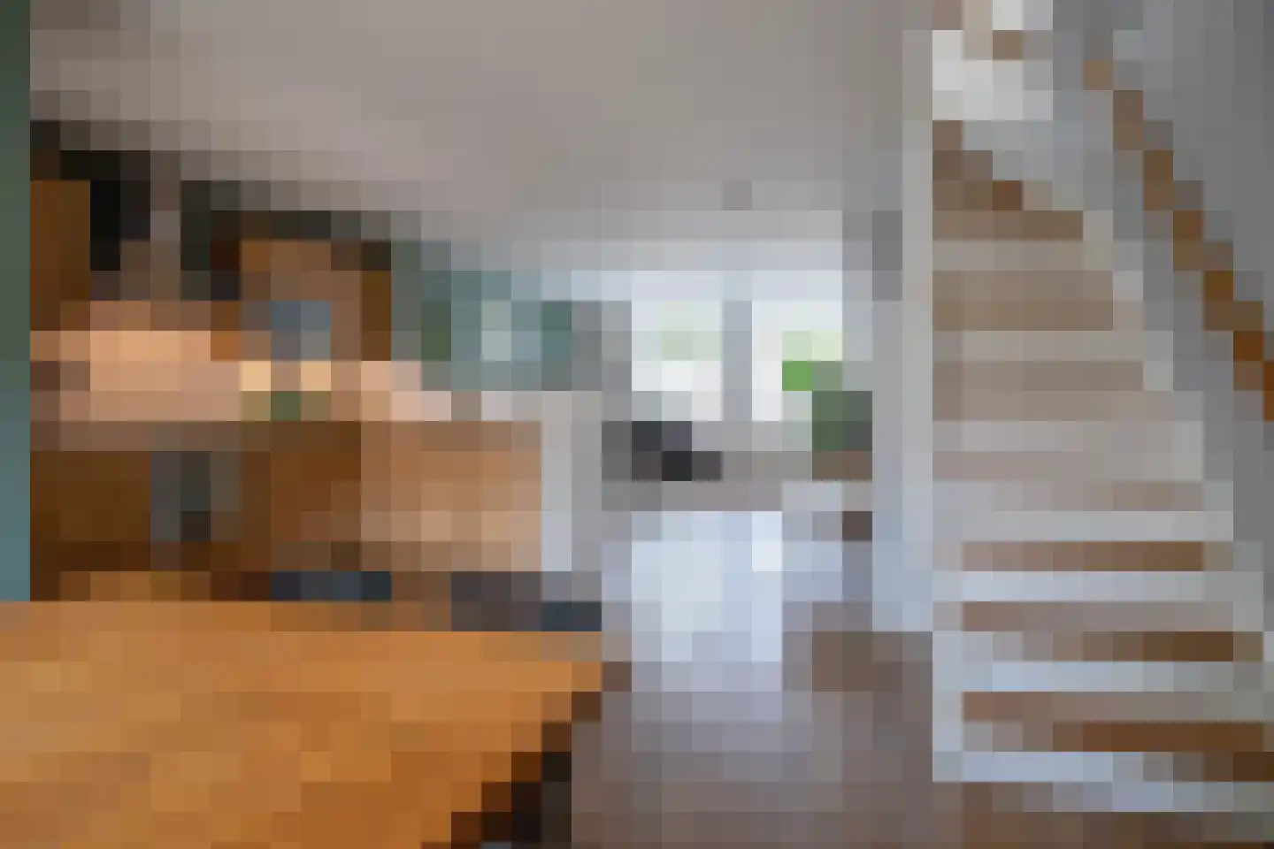 Koetebuurt 4 Oosterend thumbnail 12