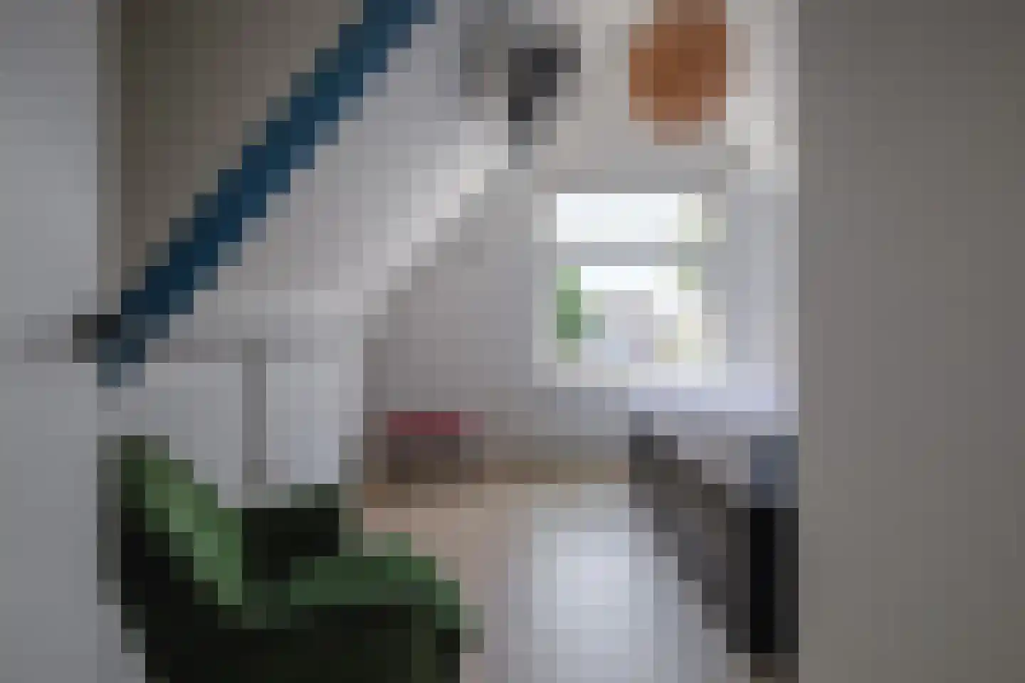Koetebuurt 4 Oosterend thumbnail 20