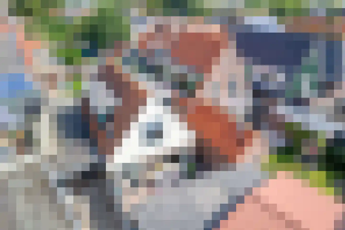 Koetebuurt 4 Oosterend thumbnail 34