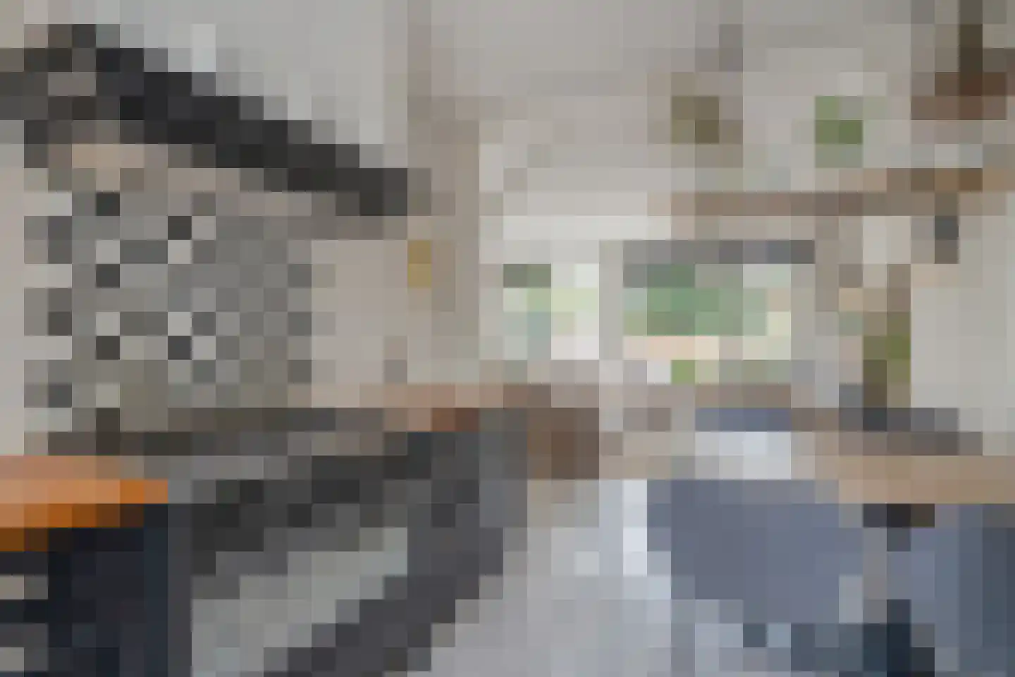 Koetlaan 58 Delft thumbnail 13