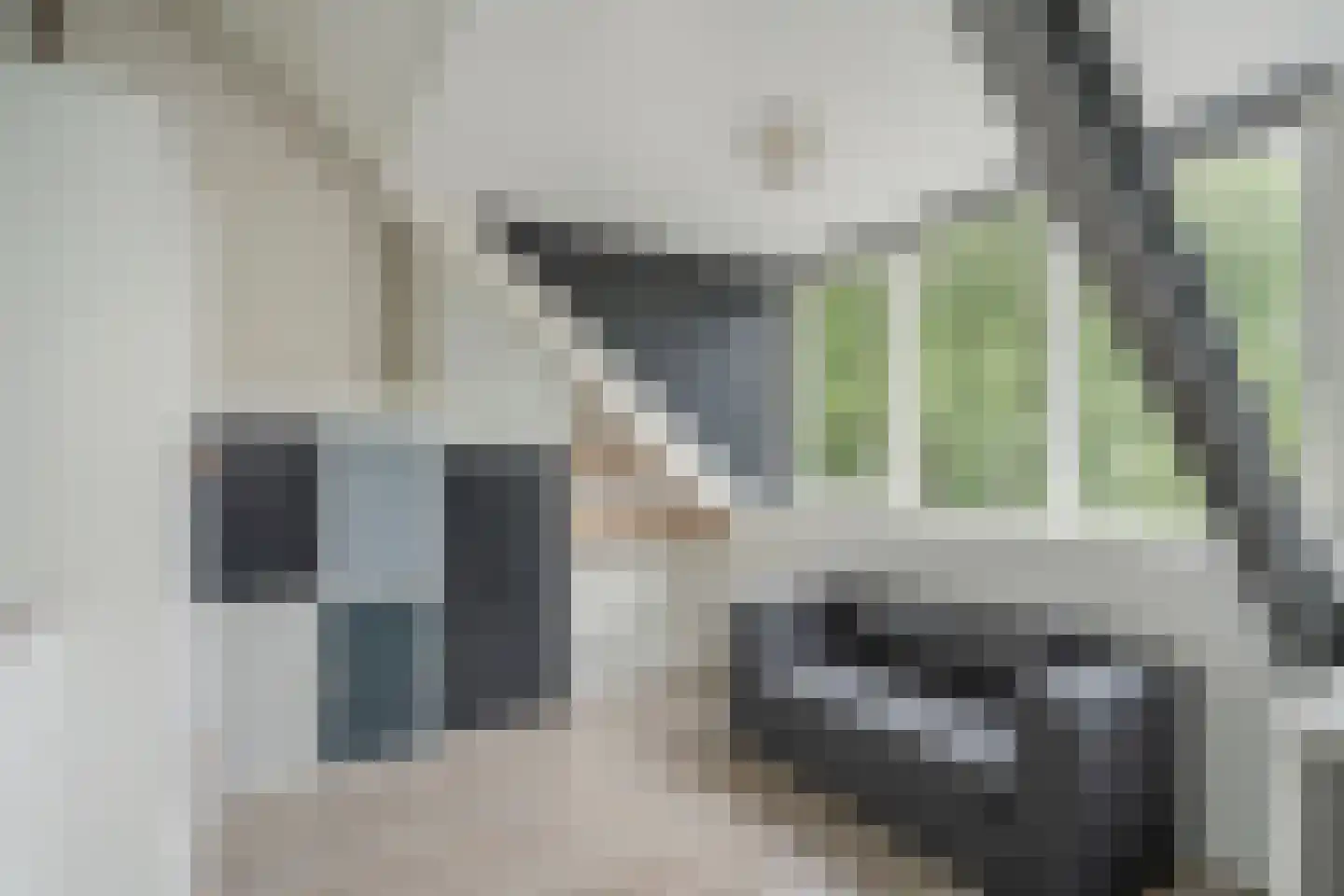 Koetlaan 58 Delft thumbnail 30