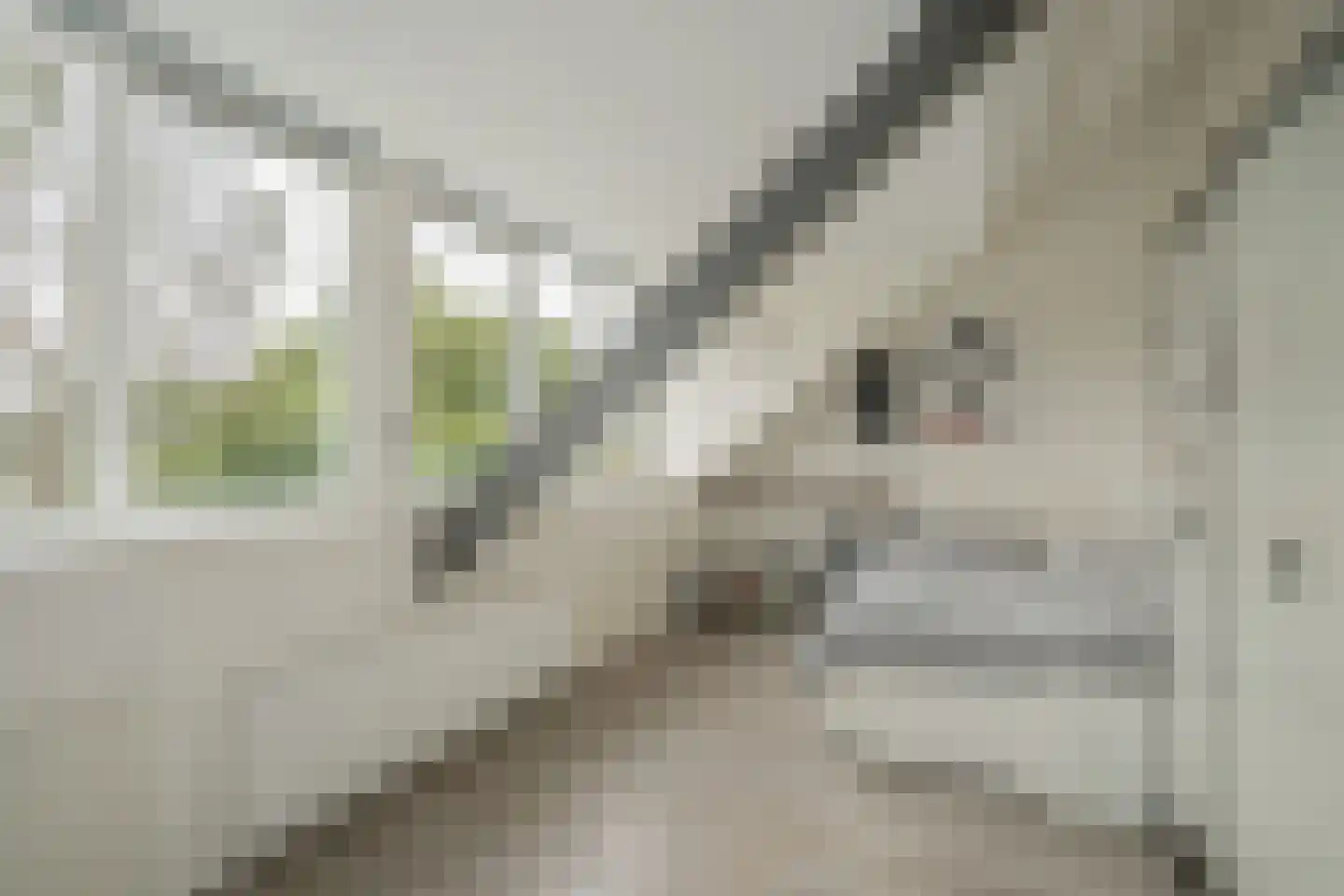 Koetlaan 58 Delft thumbnail 33