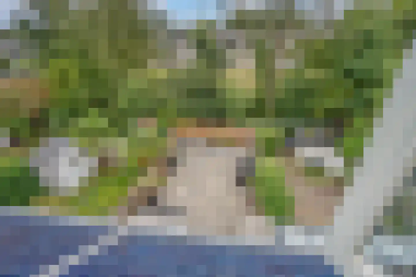 Koetlaan 58 Delft thumbnail 34