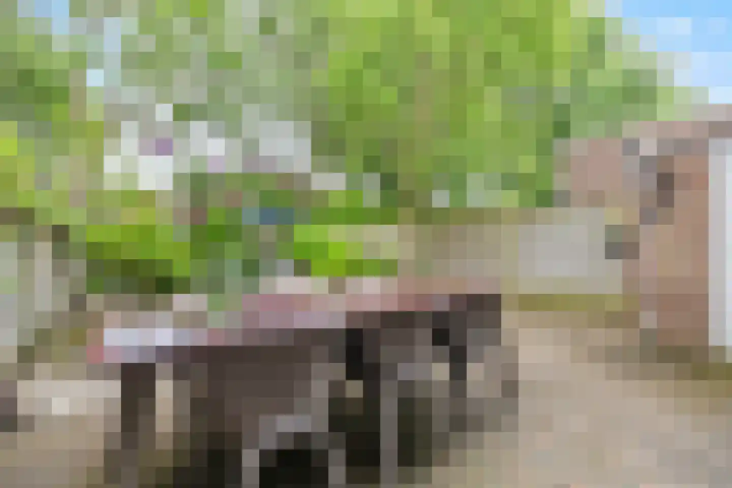 Koetlaan 80 Delft thumbnail 18