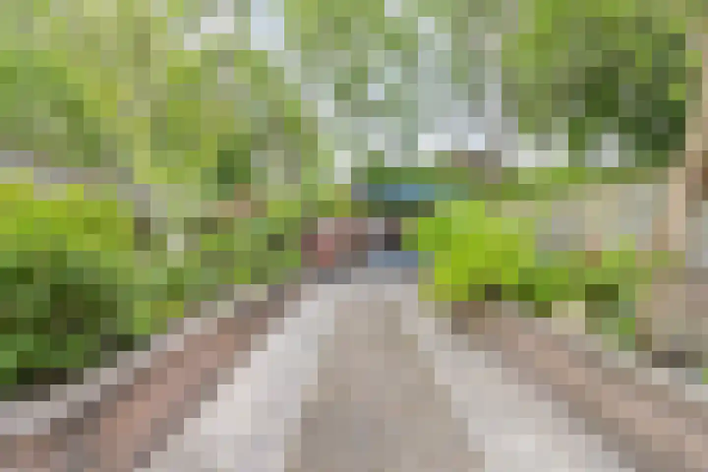 Koetlaan 80 Delft thumbnail 19