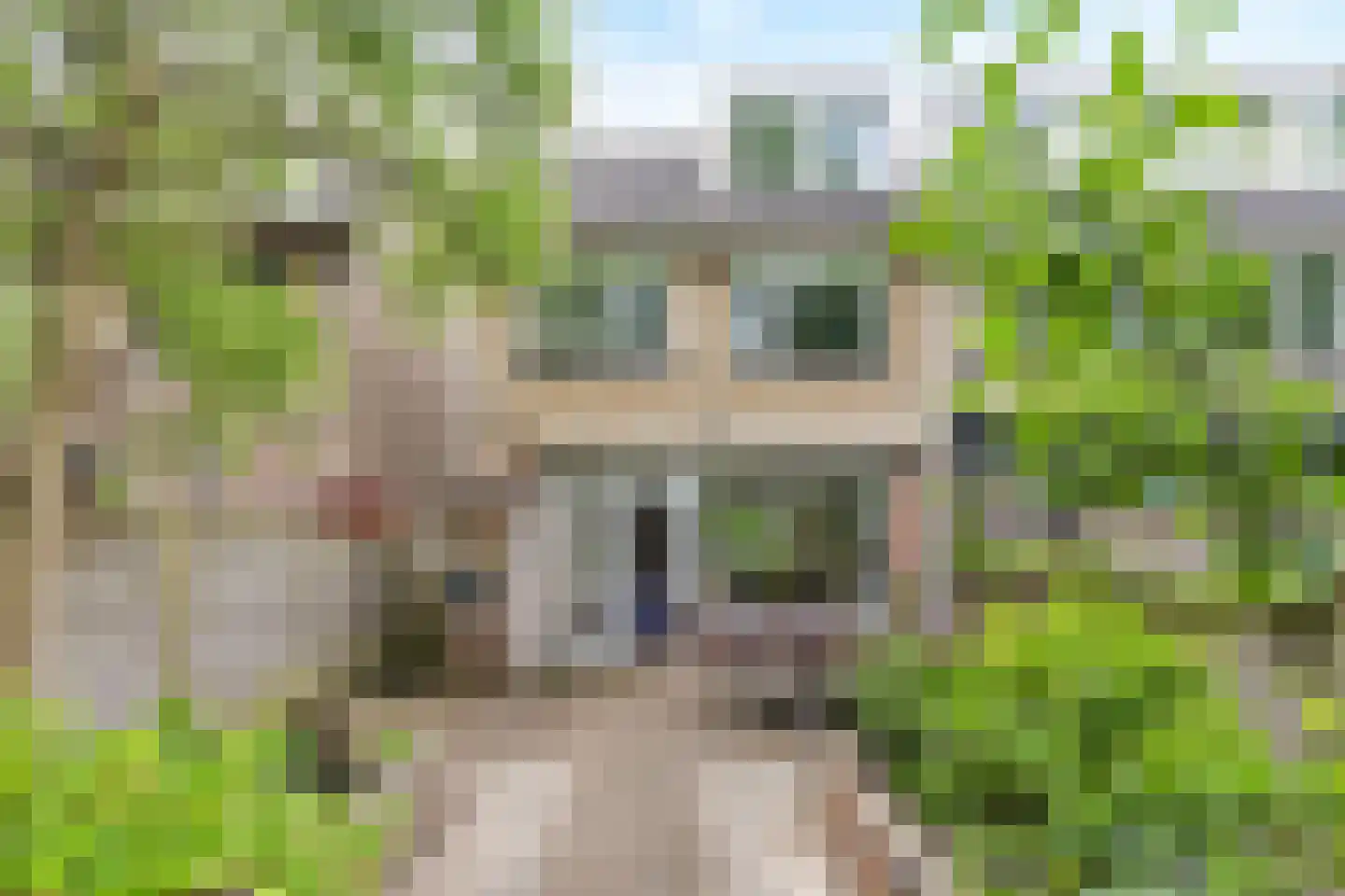 Koetlaan 80 Delft thumbnail 22