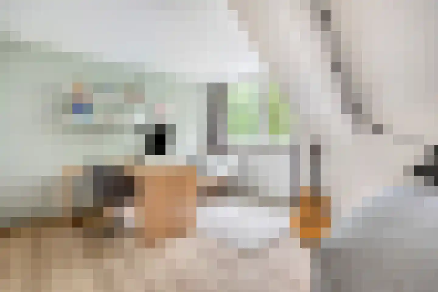 Koetlaan 80 Delft thumbnail 35