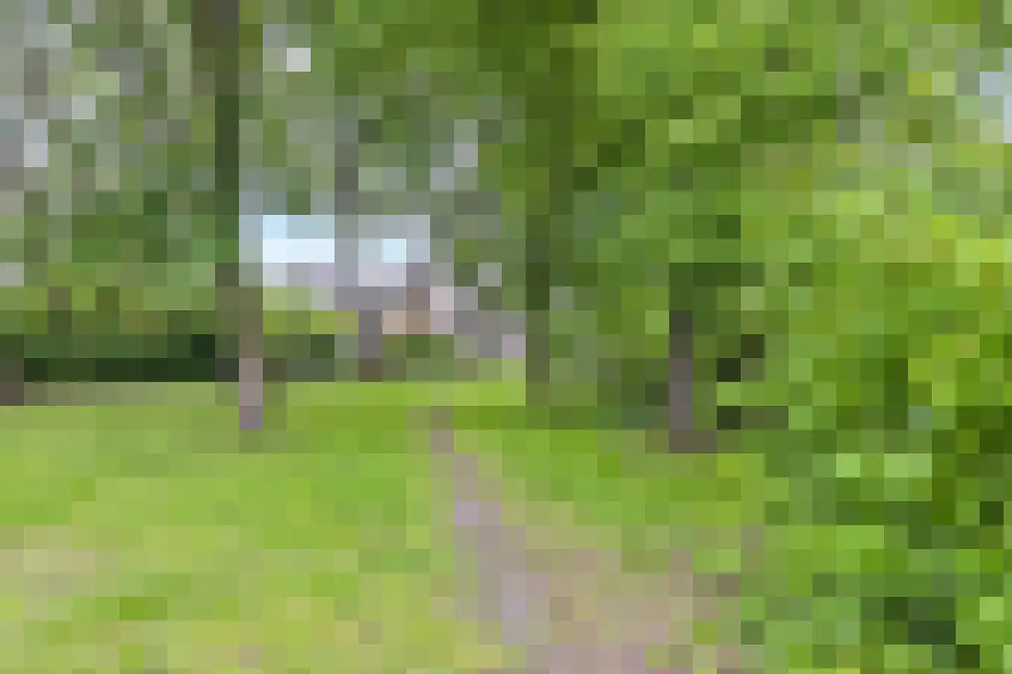 Koetlaan 80 Delft thumbnail 38