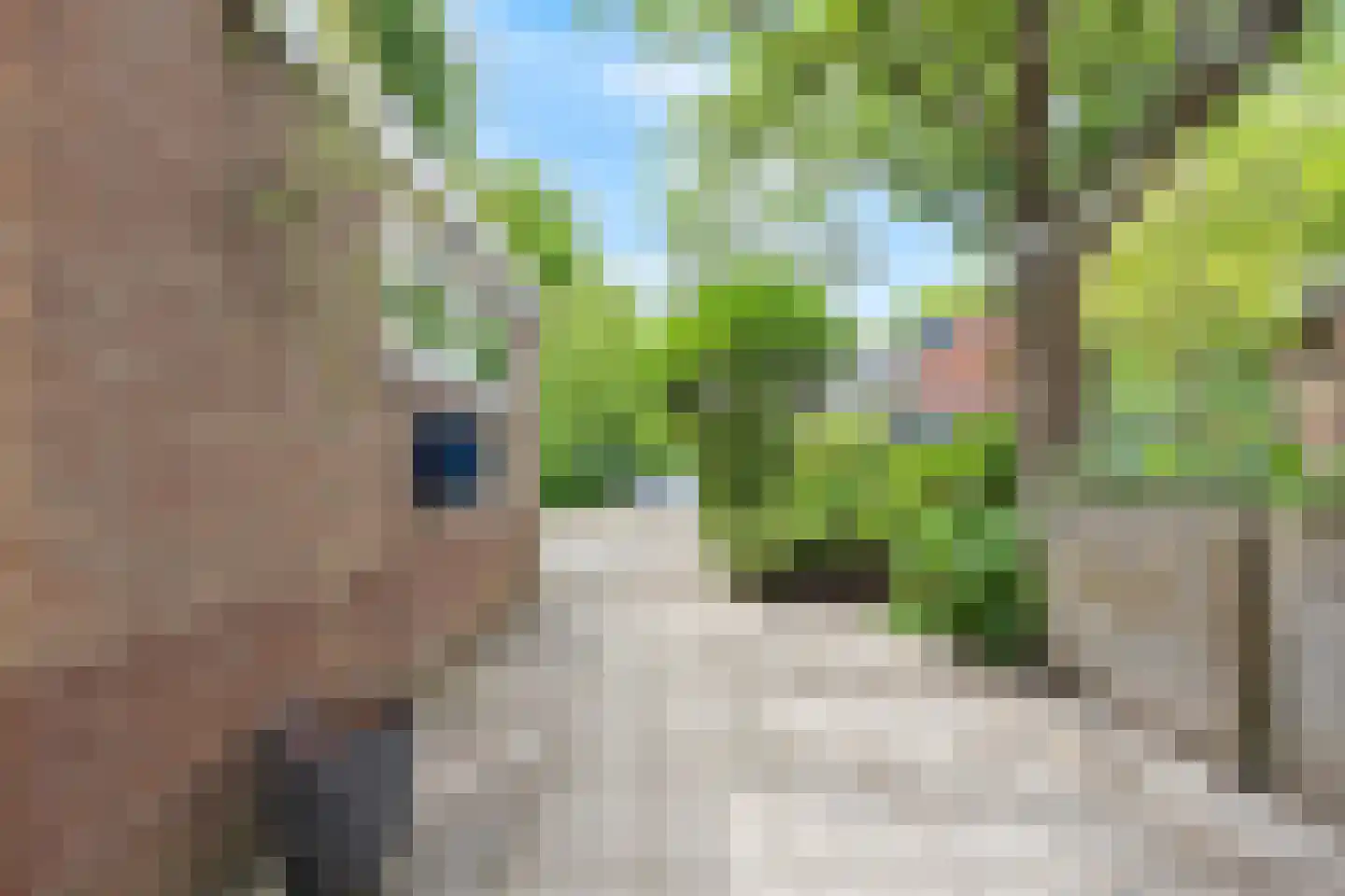 Koetlaan 80 Delft thumbnail 6