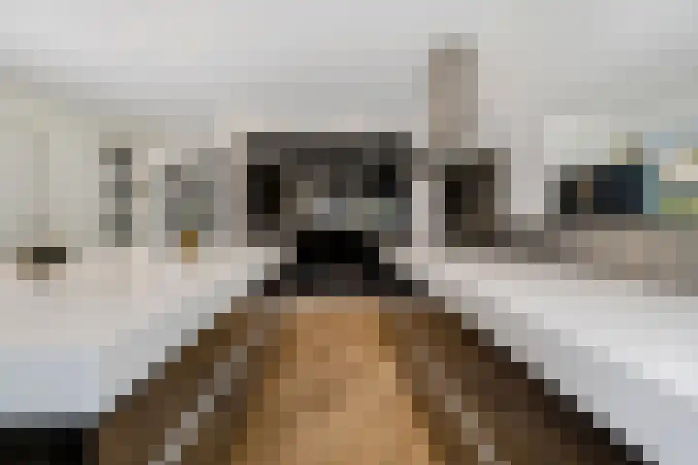 Koetreeweg 4 Hellendoorn thumbnail 15