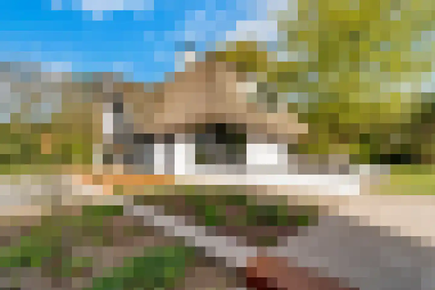 Koetreeweg 4 Hellendoorn thumbnail 46