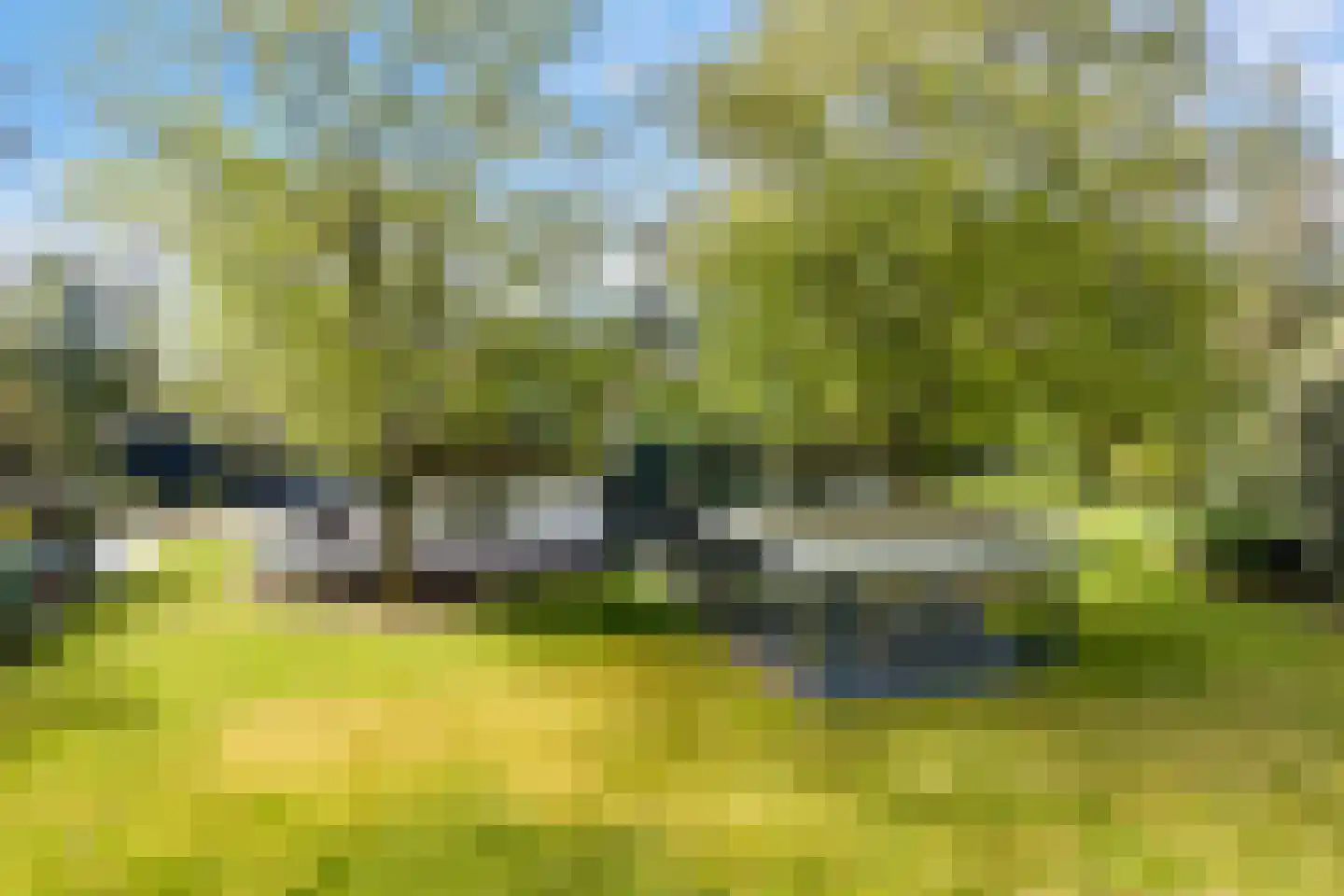 Koetreeweg 4 Hellendoorn thumbnail 52