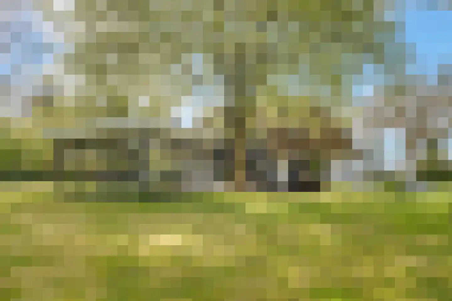 Koetreeweg 4 Hellendoorn thumbnail 55