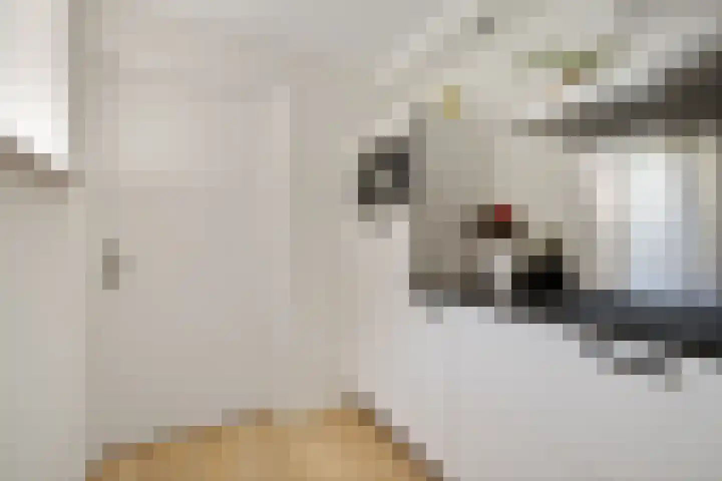 Koetsebeiwâl 1 B Ureterp thumbnail 16