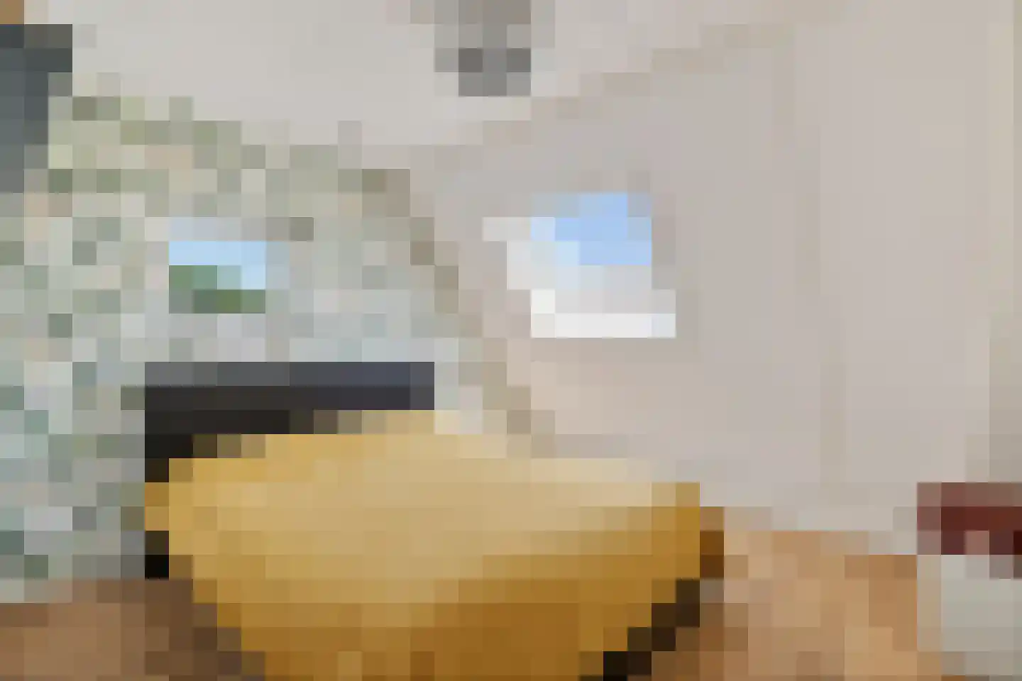 Koetsebeiwâl 1 B Ureterp thumbnail 22