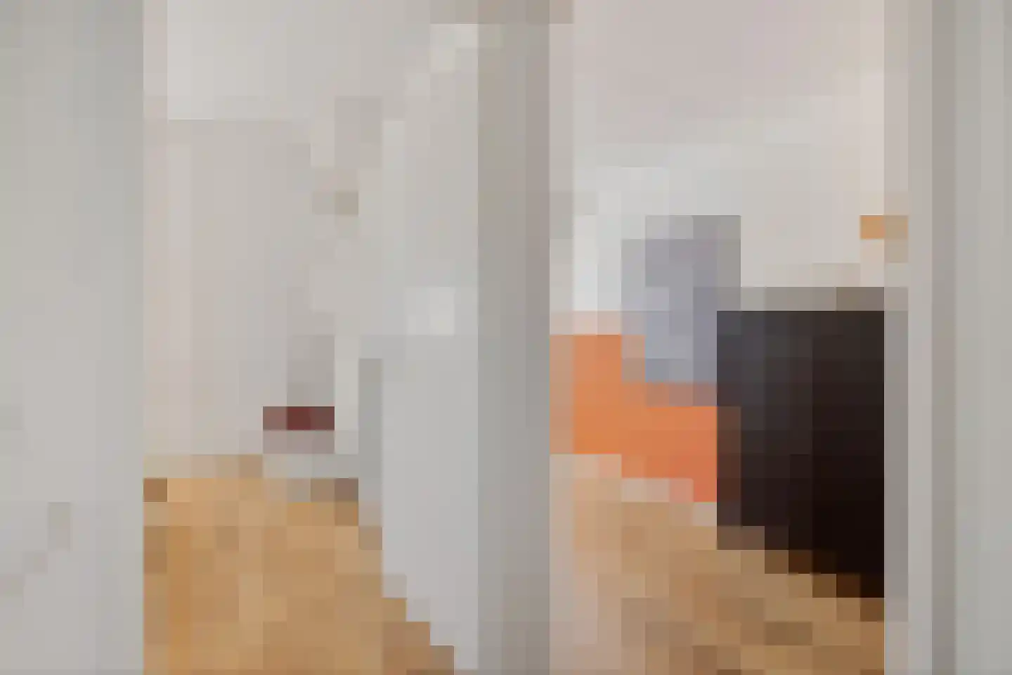 Koetsebeiwâl 1 B Ureterp thumbnail 24